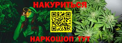 МДПВ Ачхой-Мартан