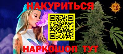 спайс Аша